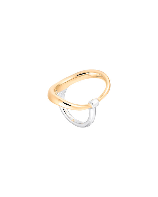 BAGUE TURTLE VERMEIL & ARGENT